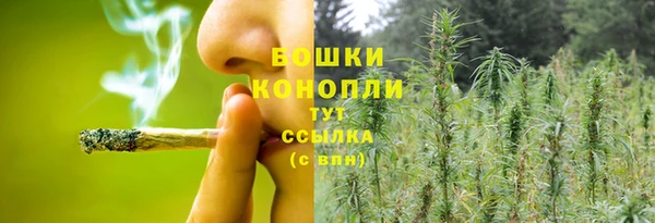 2c-b Алзамай